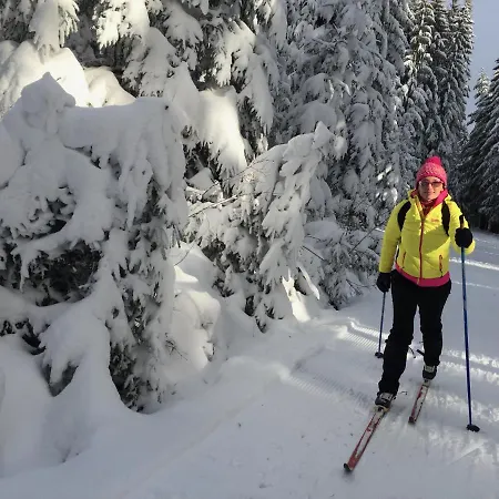 Rekreační Kobylnice Lipno * Lipno nad Vltavou