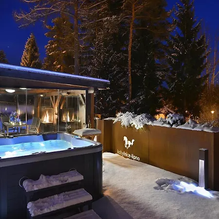 Hébergement de vacances Rekreacni Kobylnice Lipno *