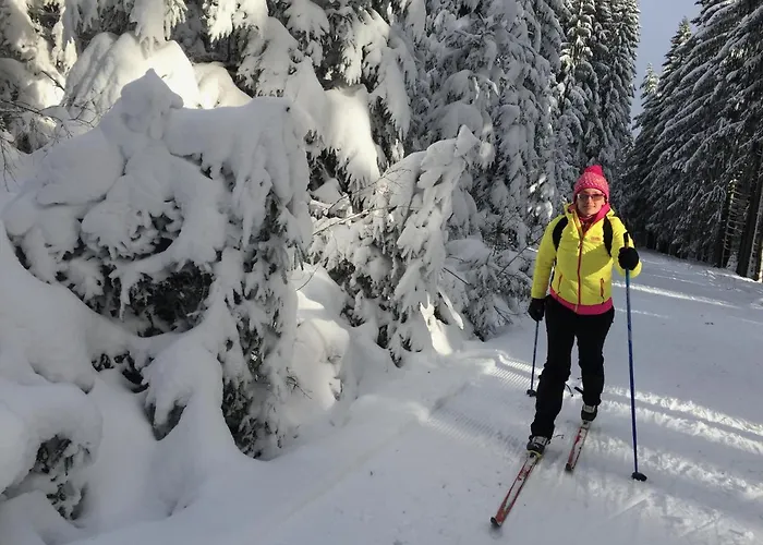 Rekreacni Kobylnice Lipno * Lipno nad Vltavou